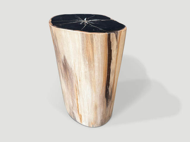 SUPER SMOOTH PETRIFIED WOOD SIDE TABLE