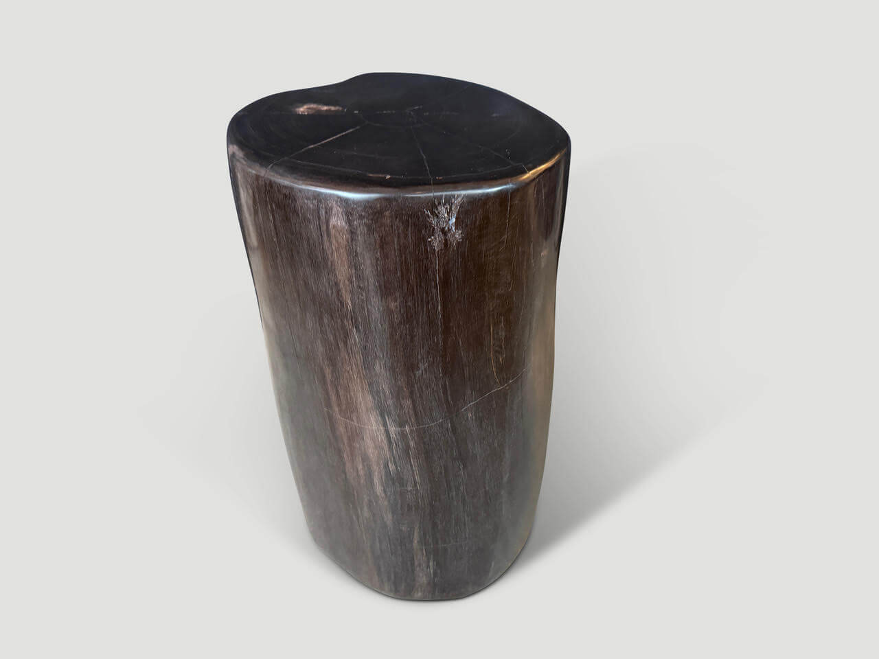 SUPER SMOOTH HIGH QUALITY PETRIFIED SIDE TABLE