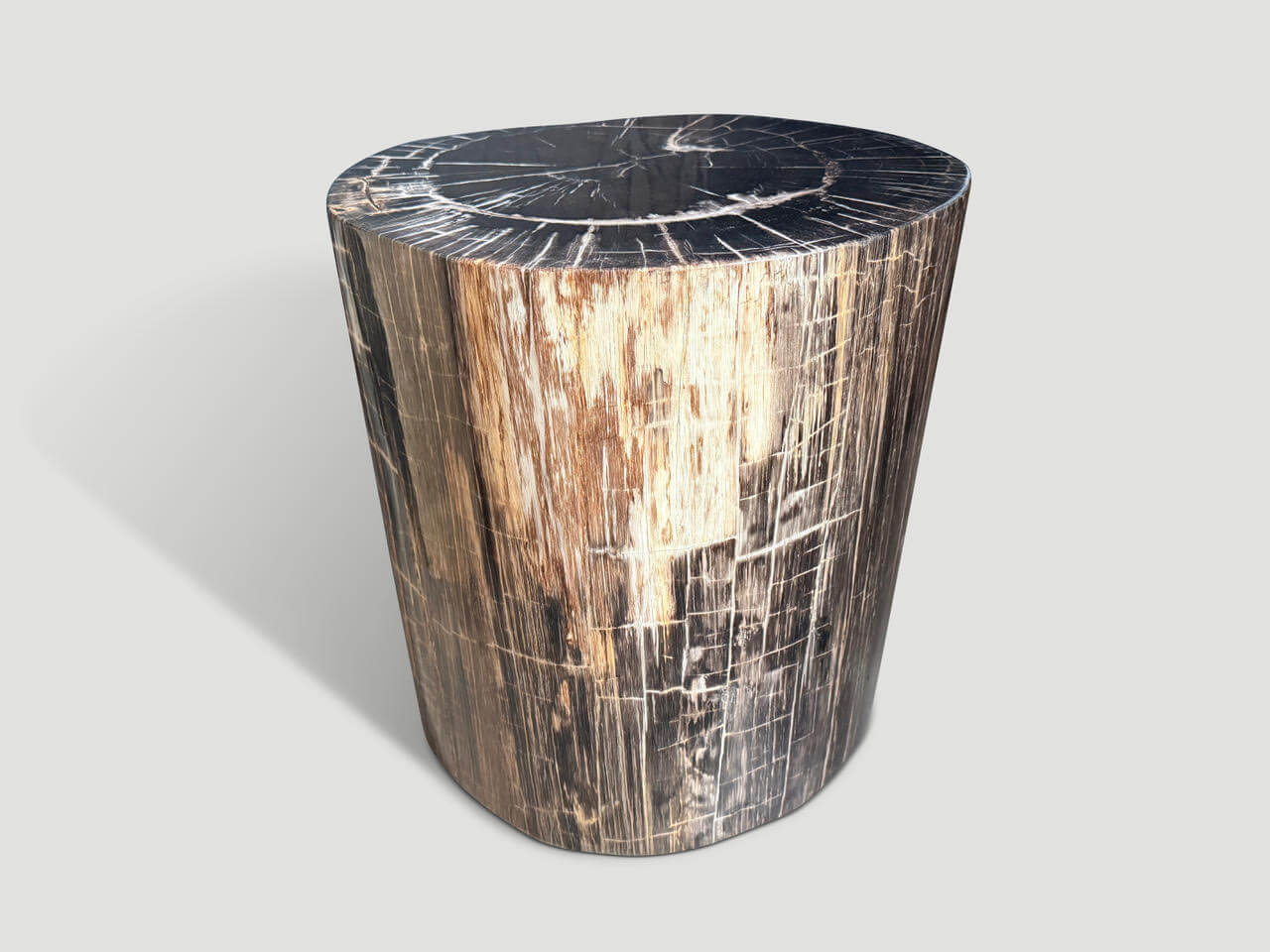 EXQUISITE HIGH QUALITY PETRIFIED WOOD SIDE TABLE OR PEDESTAL