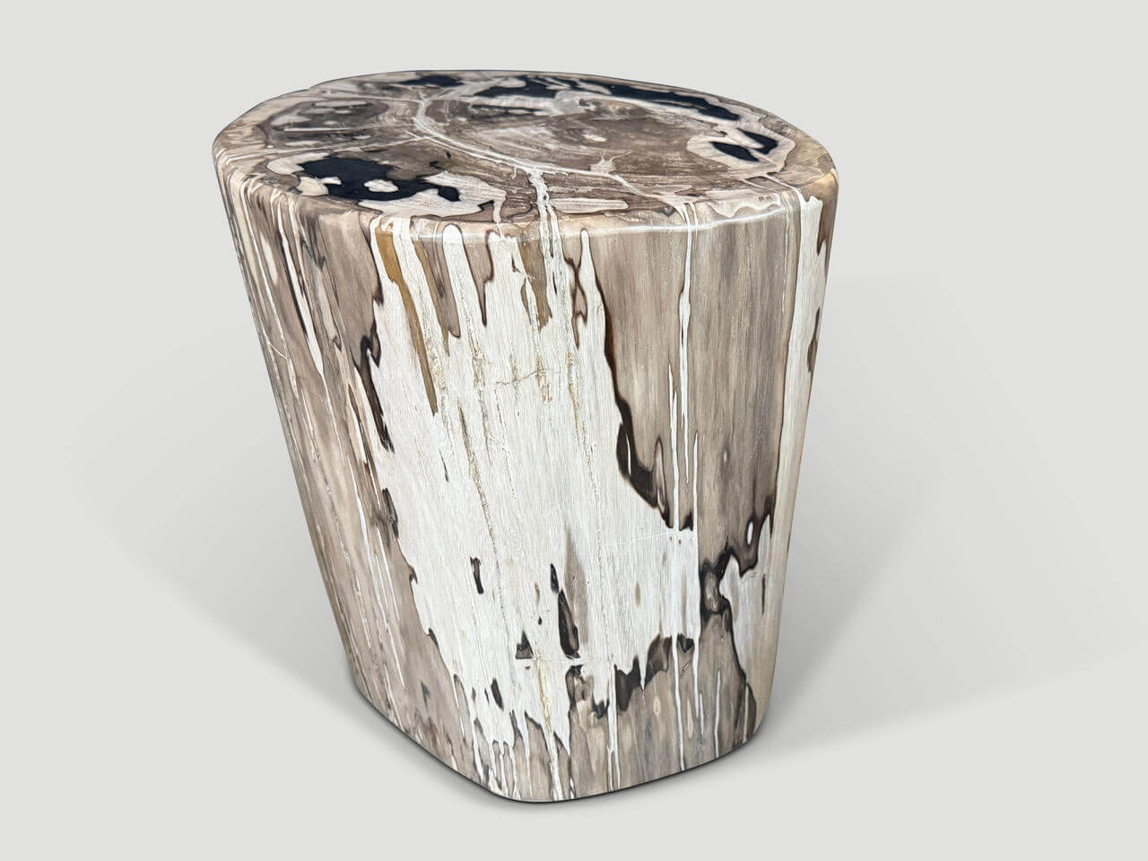 IMPRESSIVE LARGE PETRIFIED WOOD SIDE TABLE