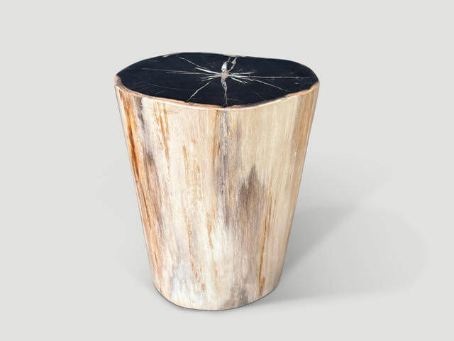 SUPER SMOOTH PETRIFIED WOOD SIDE TABLE