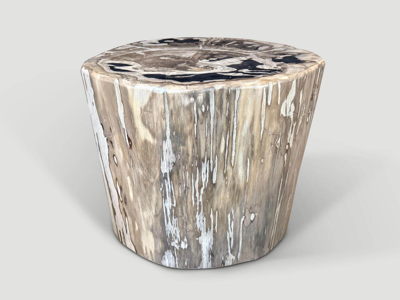 IMPRESSIVE LARGE PETRIFIED WOOD SIDE TABLE