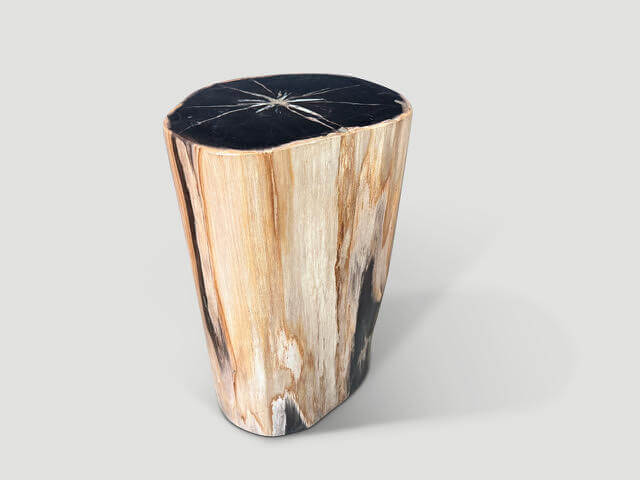 SUPER SMOOTH PETRIFIED WOOD SIDE TABLE