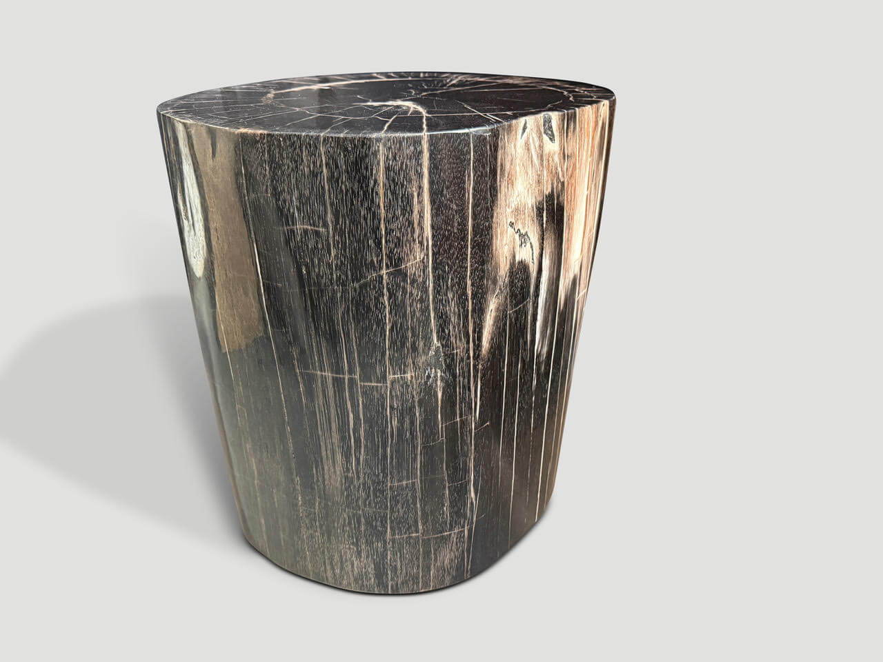 EXQUISITE HIGH QUALITY PETRIFIED WOOD SIDE TABLE OR PEDESTAL