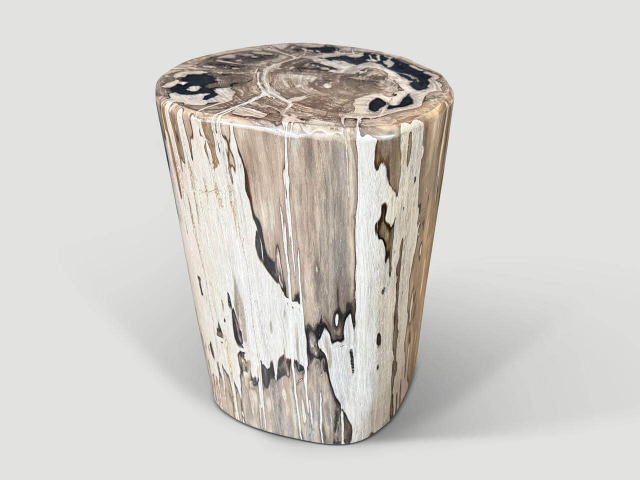 IMPRESSIVE LARGE PETRIFIED WOOD SIDE TABLE