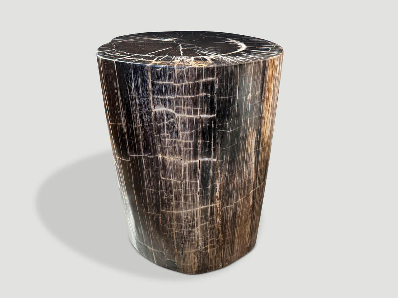 EXQUISITE HIGH QUALITY PETRIFIED WOOD SIDE TABLE OR PEDESTAL