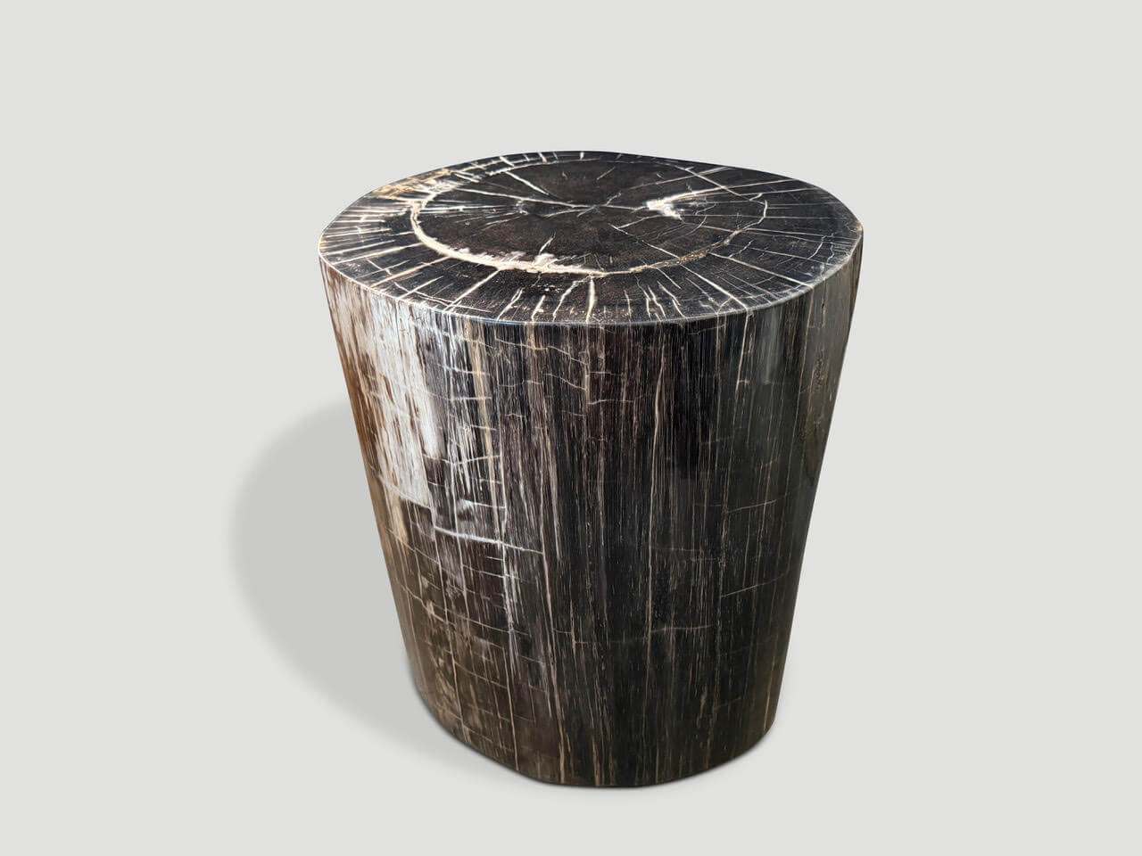 EXQUISITE HIGH QUALITY PETRIFIED WOOD SIDE TABLE OR PEDESTAL