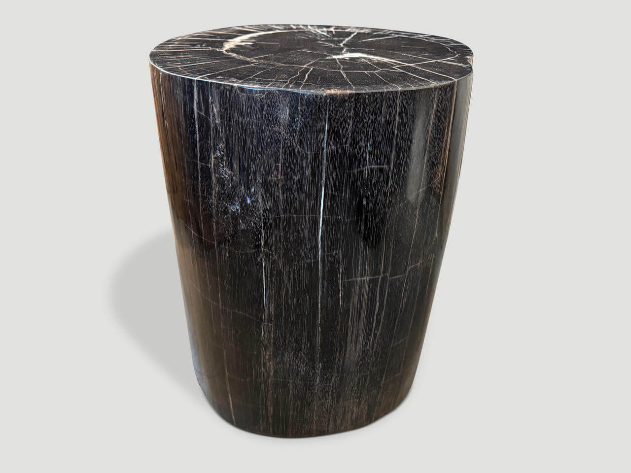 EXQUISITE HIGH QUALITY PETRIFIED WOOD SIDE TABLE OR PEDESTAL