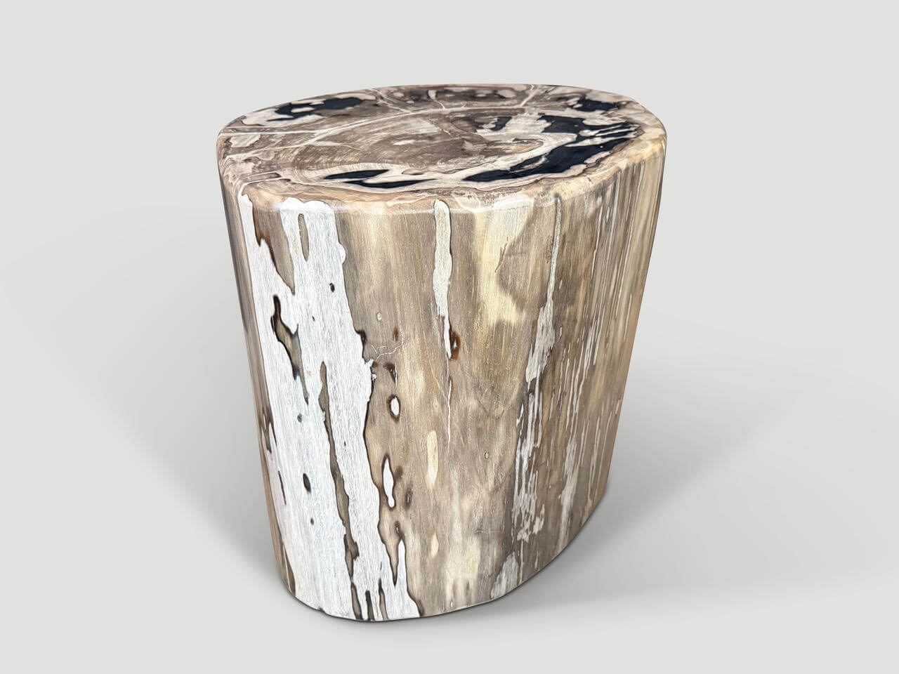 IMPRESSIVE LARGE PETRIFIED WOOD SIDE TABLE