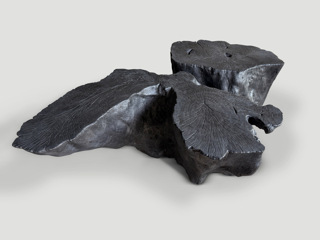 impressive charred lychee wood coffee table