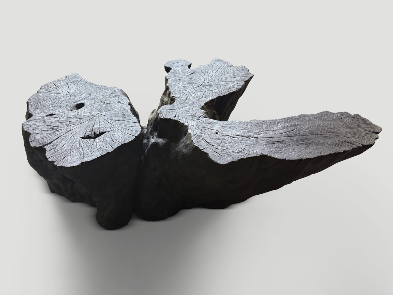 impressive charred lychee wood coffee table