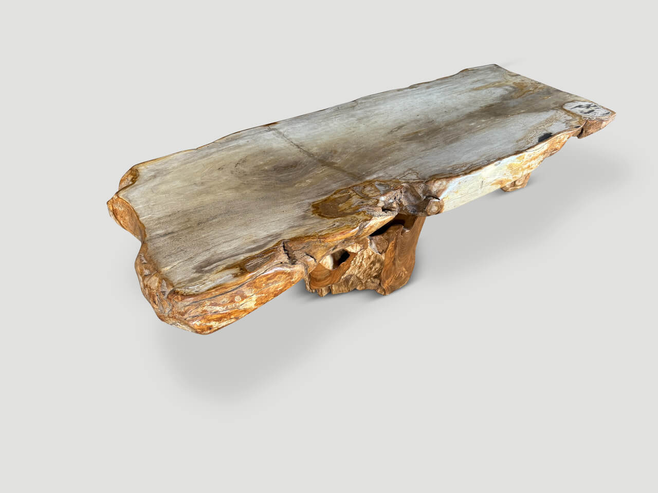 LIVE EDGE PETRIFIED WOOD COFFEE TABLE WITH AN ORGANIC TEAK BASE