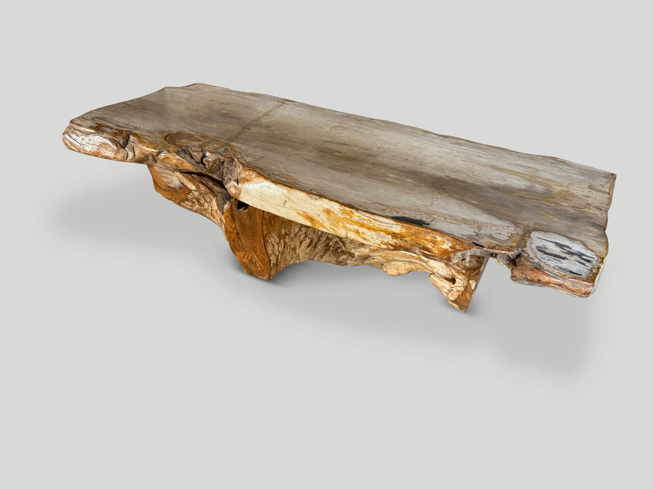 LIVE EDGE PETRIFIED WOOD COFFEE TABLE WITH AN ORGANIC TEAK BASE