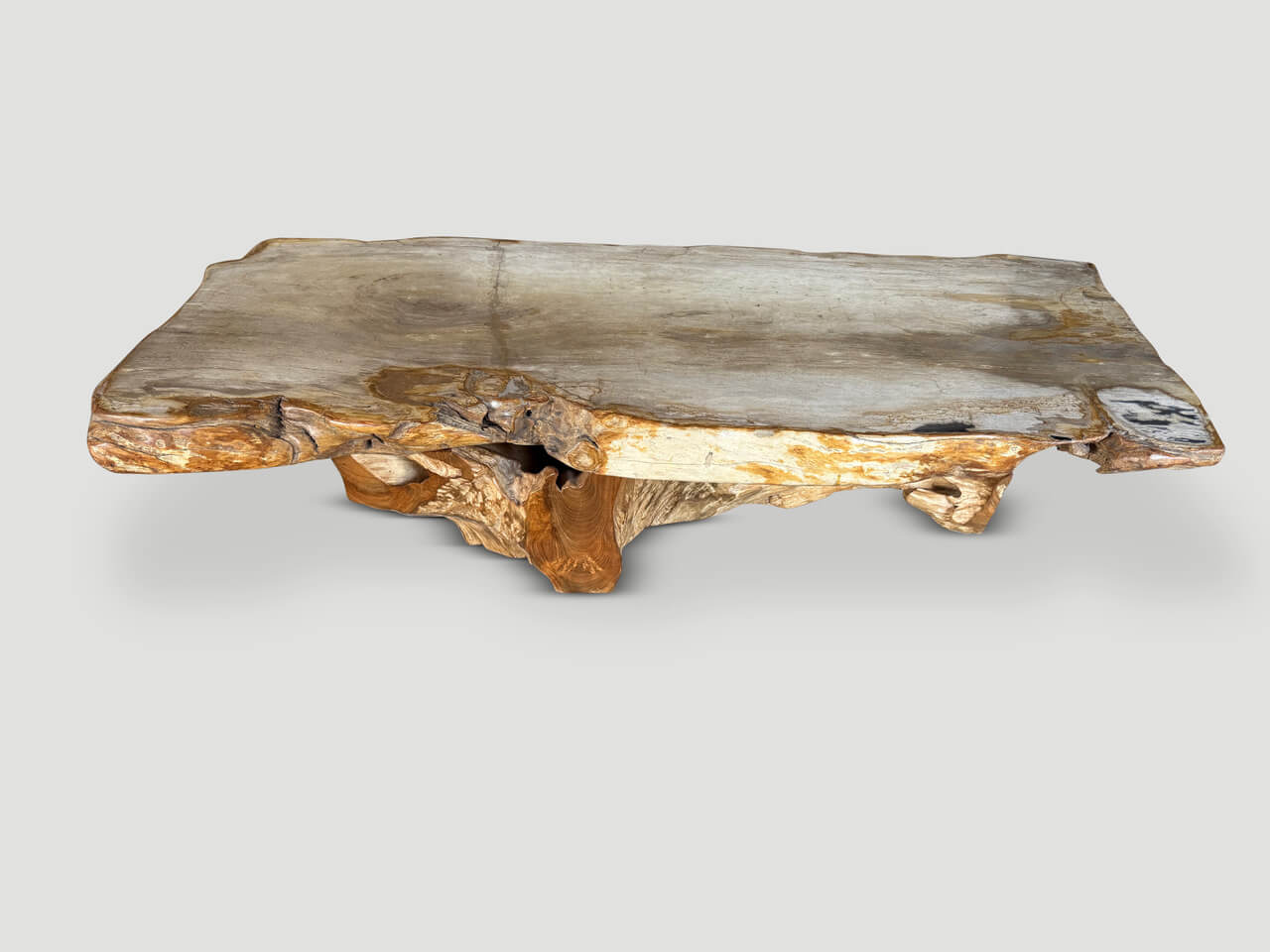 LIVE EDGE PETRIFIED WOOD COFFEE TABLE WITH AN ORGANIC TEAK BASE