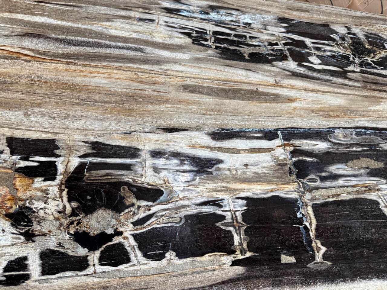 high quality petrified wood dining table