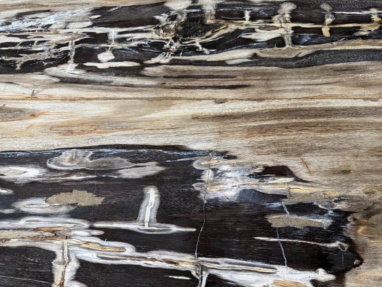 high quality petrified wood dining table