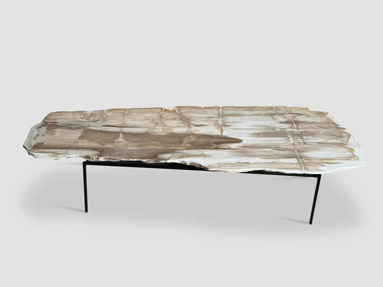 MINIMALIST PALE TONED PETRIFIED WOOD COFFEE TABLE