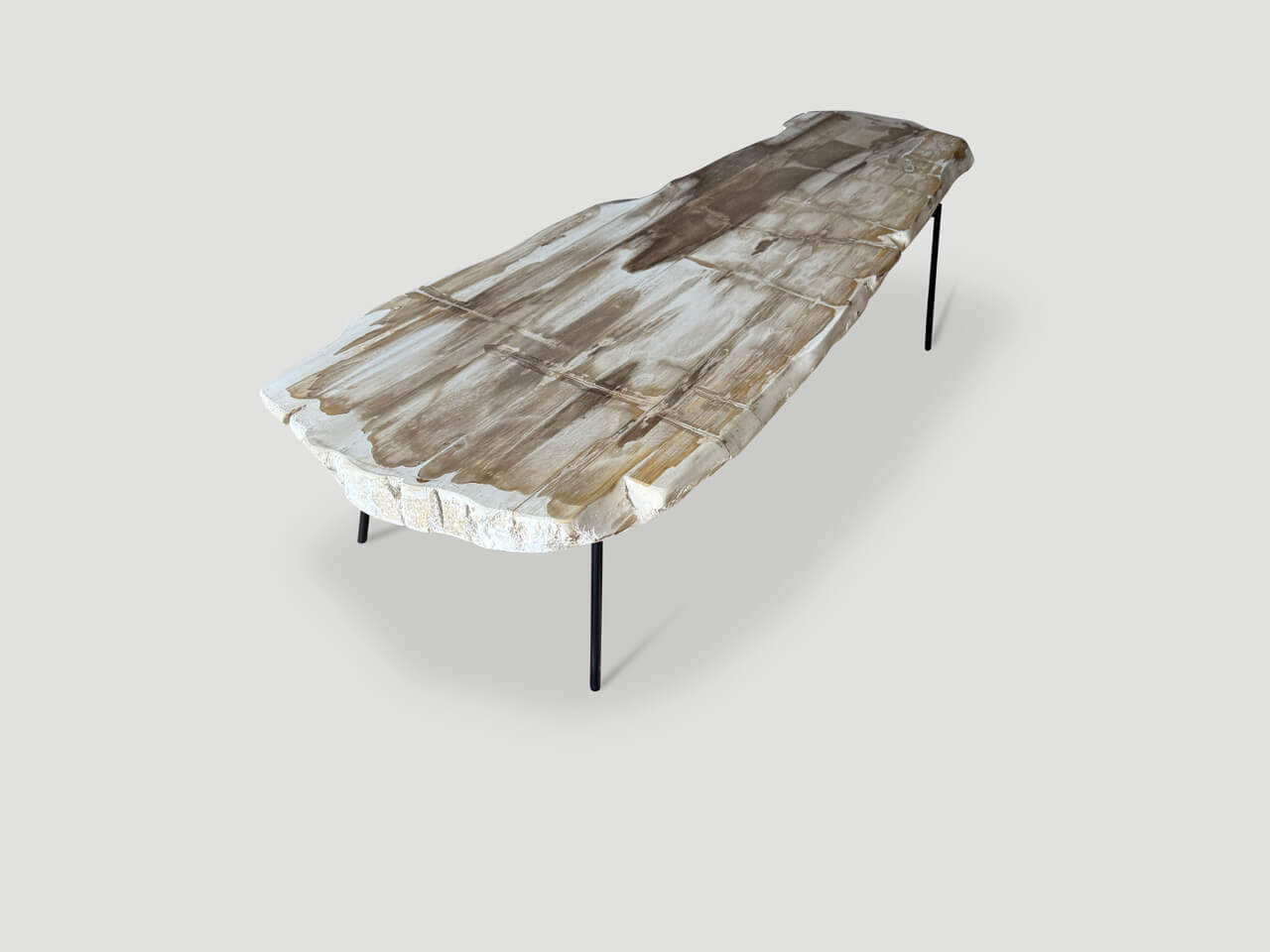 MINIMALIST PALE TONED PETRIFIED WOOD COFFEE TABLE