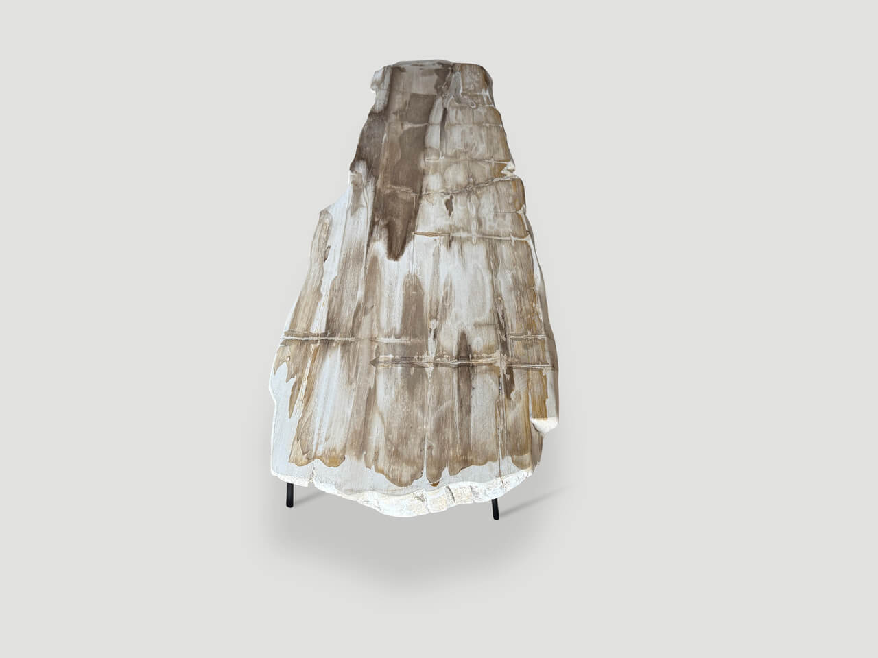 MINIMALIST PALE TONED PETRIFIED WOOD COFFEE TABLE