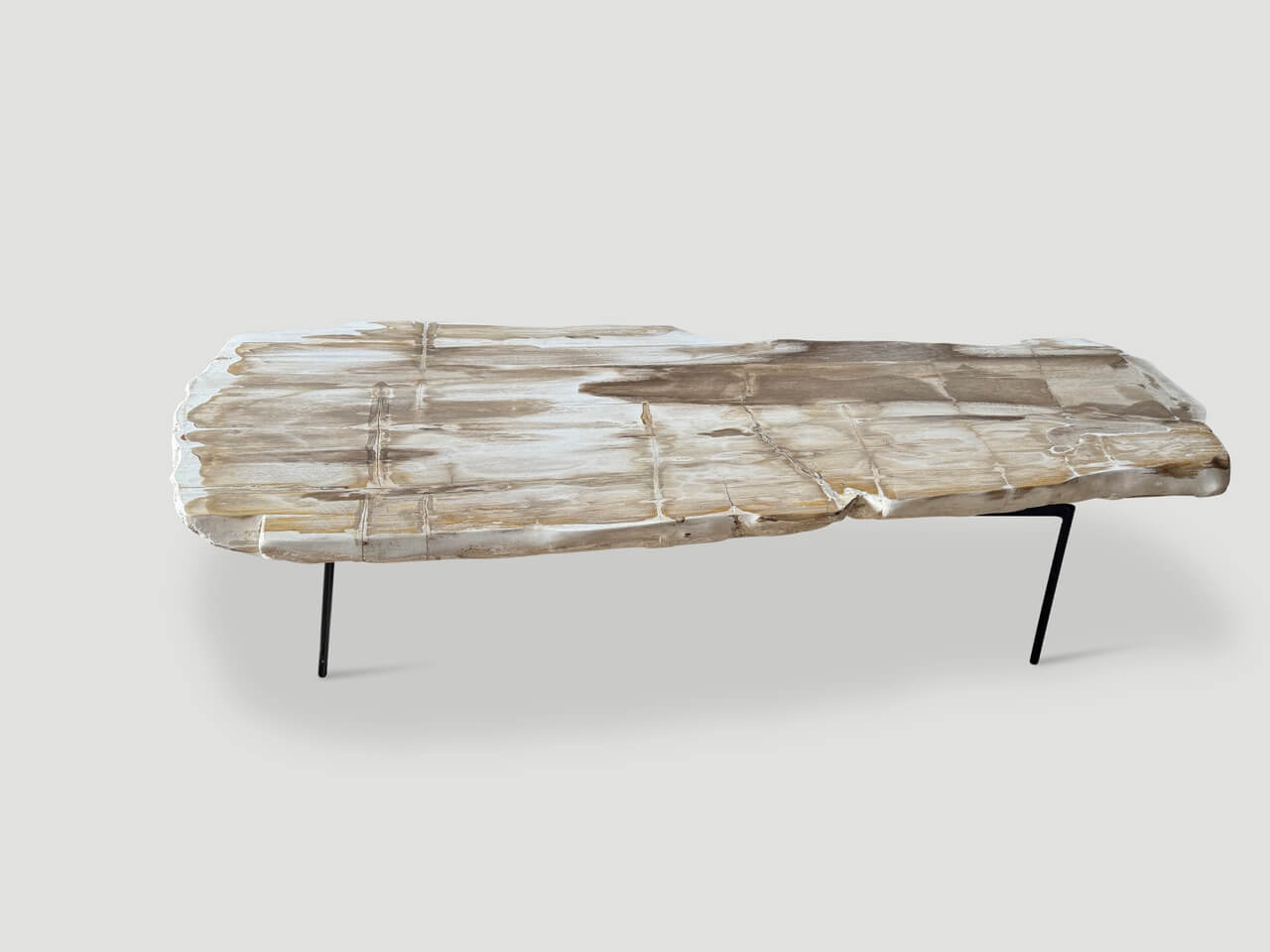 MINIMALIST PALE TONED PETRIFIED WOOD COFFEE TABLE