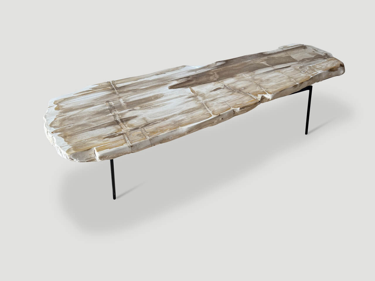 MINIMALIST PALE TONED PETRIFIED WOOD COFFEE TABLE