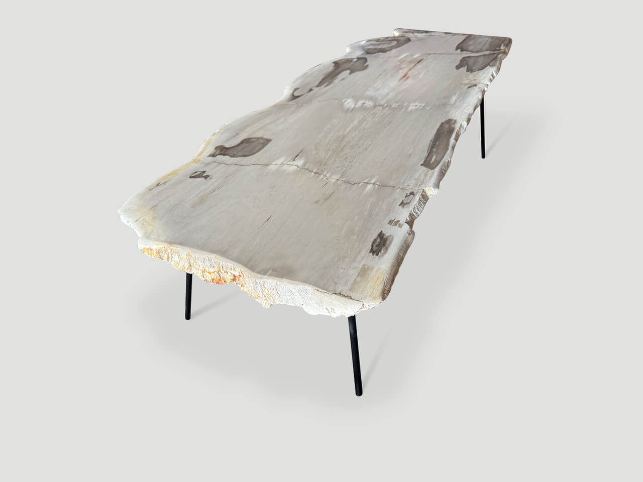 LIVE EDGE PETRIFIED WOOD COFFEE TABLE