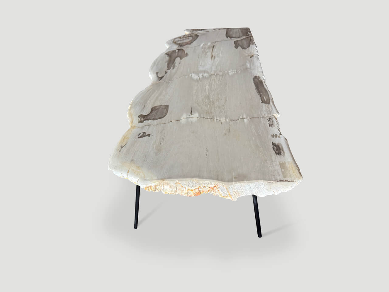LIVE EDGE PETRIFIED WOOD COFFEE TABLE