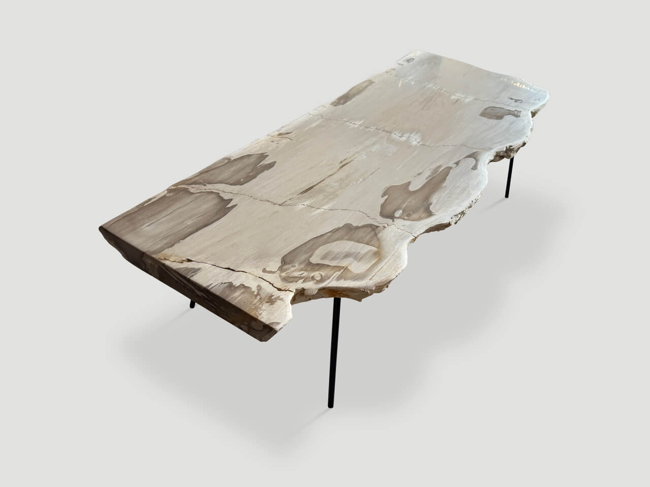 LIVE EDGE PETRIFIED WOOD COFFEE TABLE