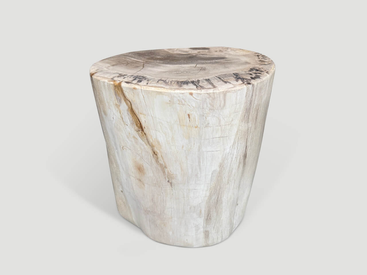 high quality petrified wood side table