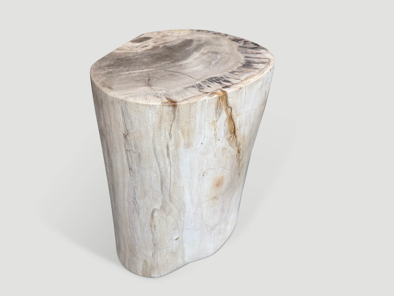 high quality petrified wood side table