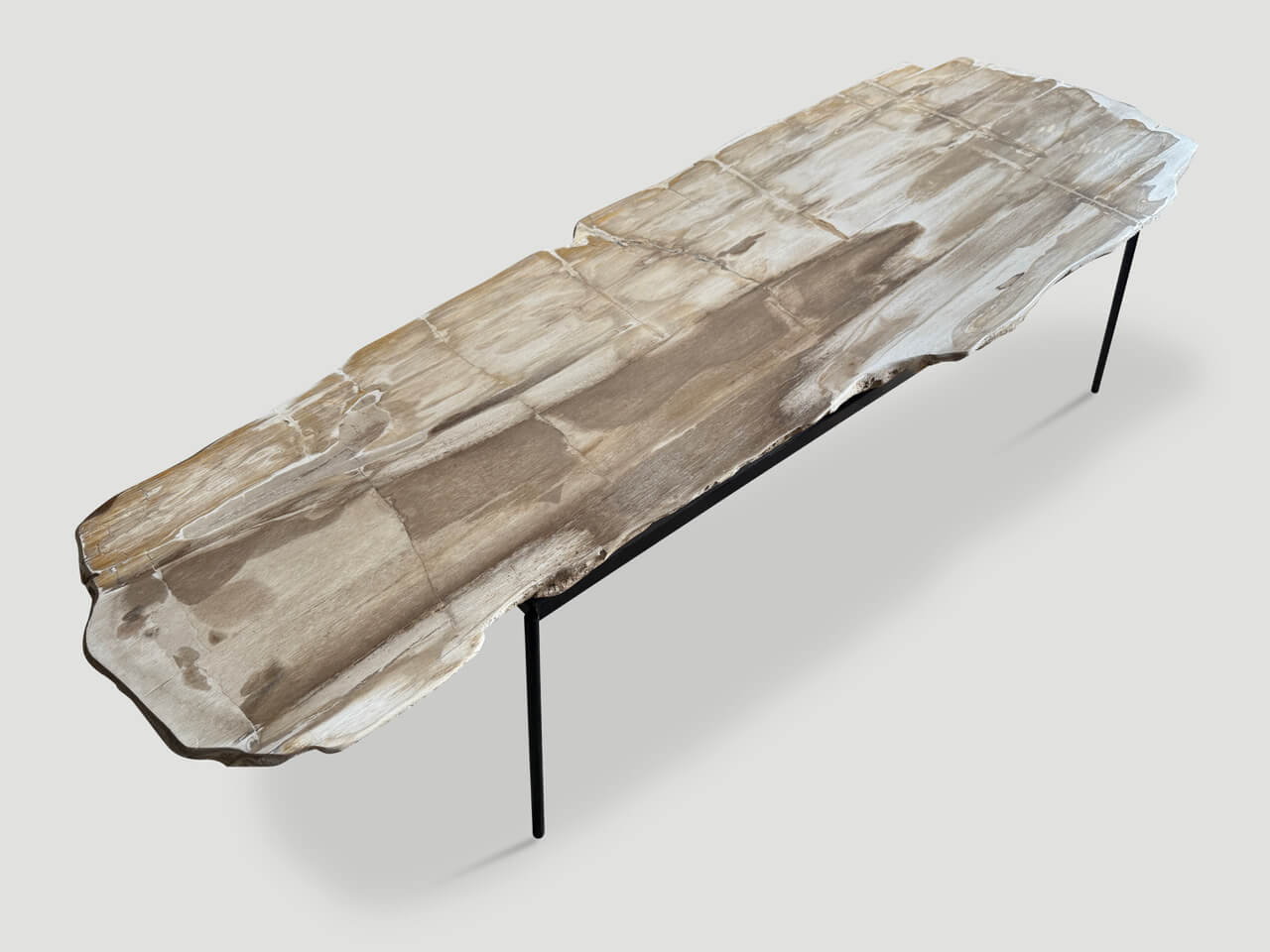 MINIMALIST PALE TONED PETRIFIED WOOD COFFEE TABLE