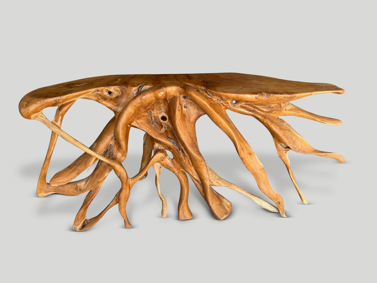 ORGANIC SCULPTURAL CONSOLE TABLE