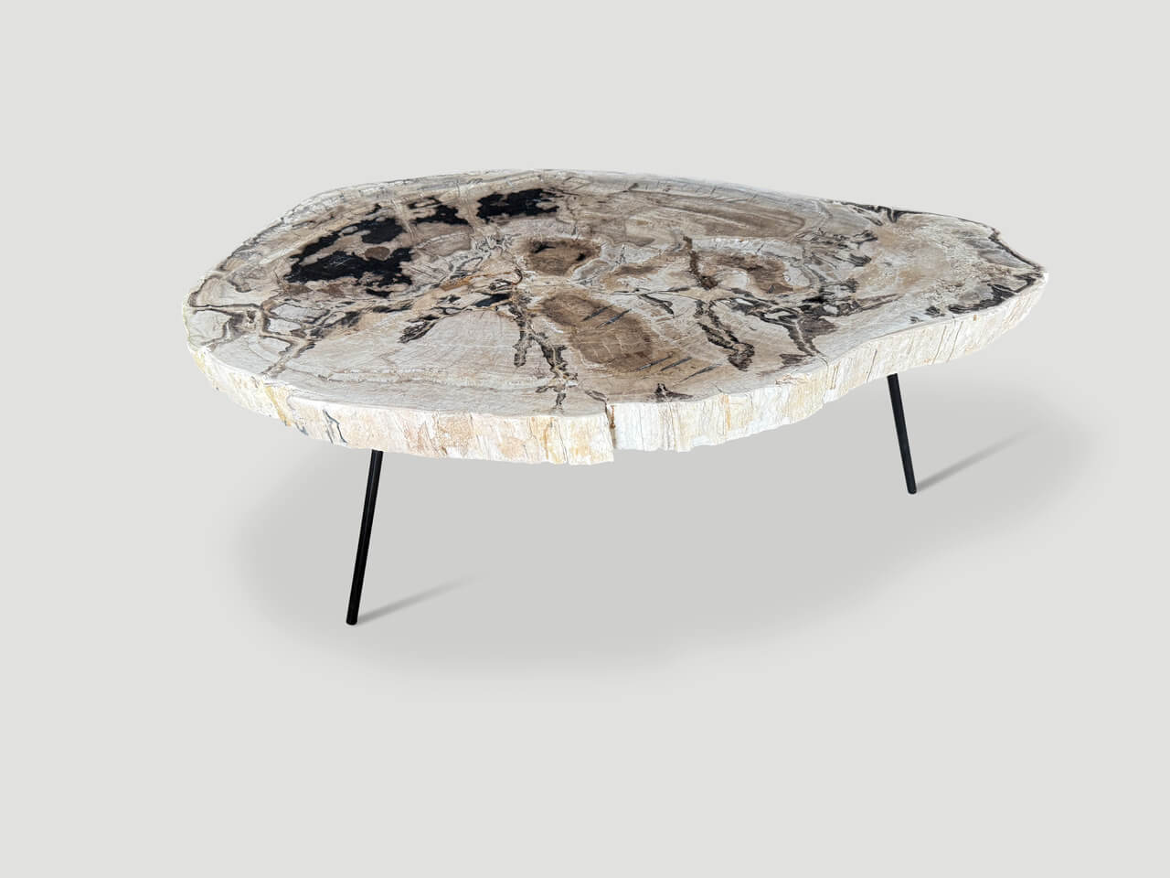 MINIMALIST PETRIFIED WOOD COFFEE TABLE OR SIDE TABLE