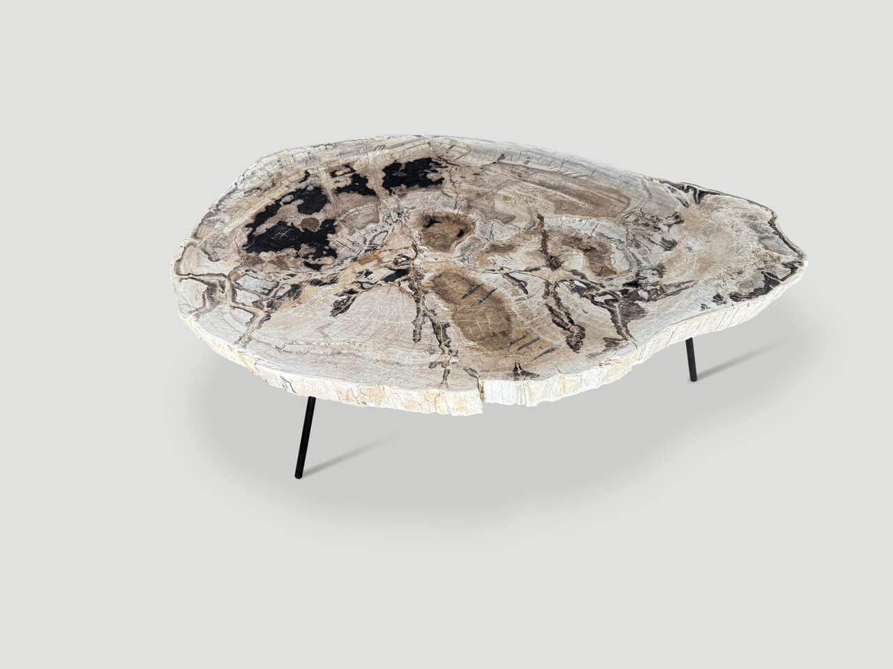 MINIMALIST PETRIFIED WOOD COFFEE TABLE OR SIDE TABLE