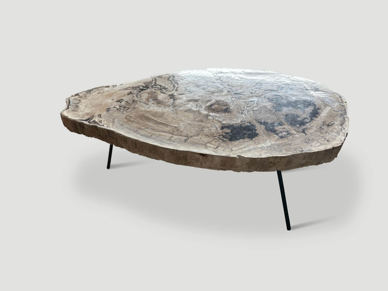 MINIMALIST PETRIFIED WOOD COFFEE TABLE OR SIDE TABLE