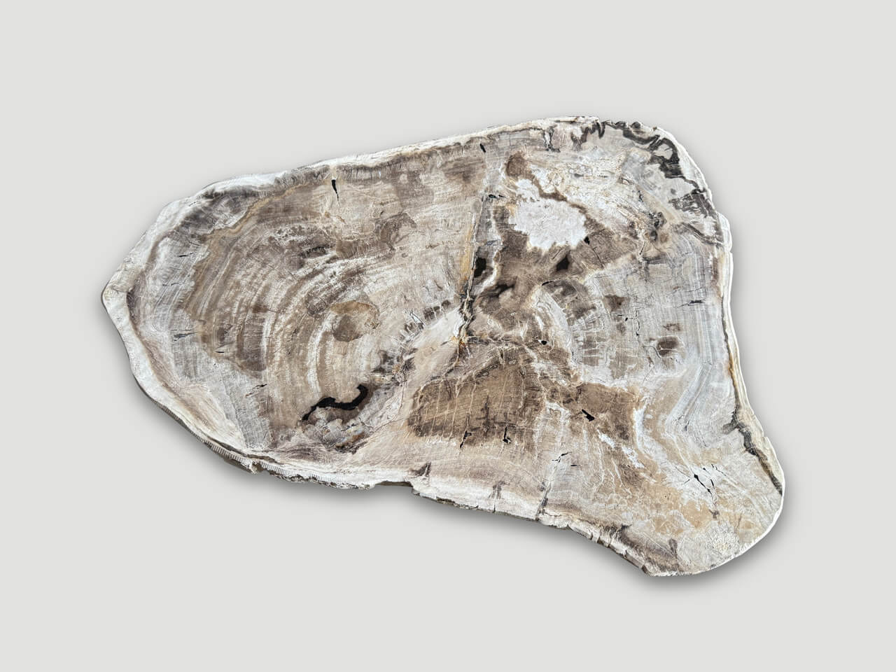 MINIMALIST PETRIFIED WOOD COFFEE TABLE OR SIDE TABLE