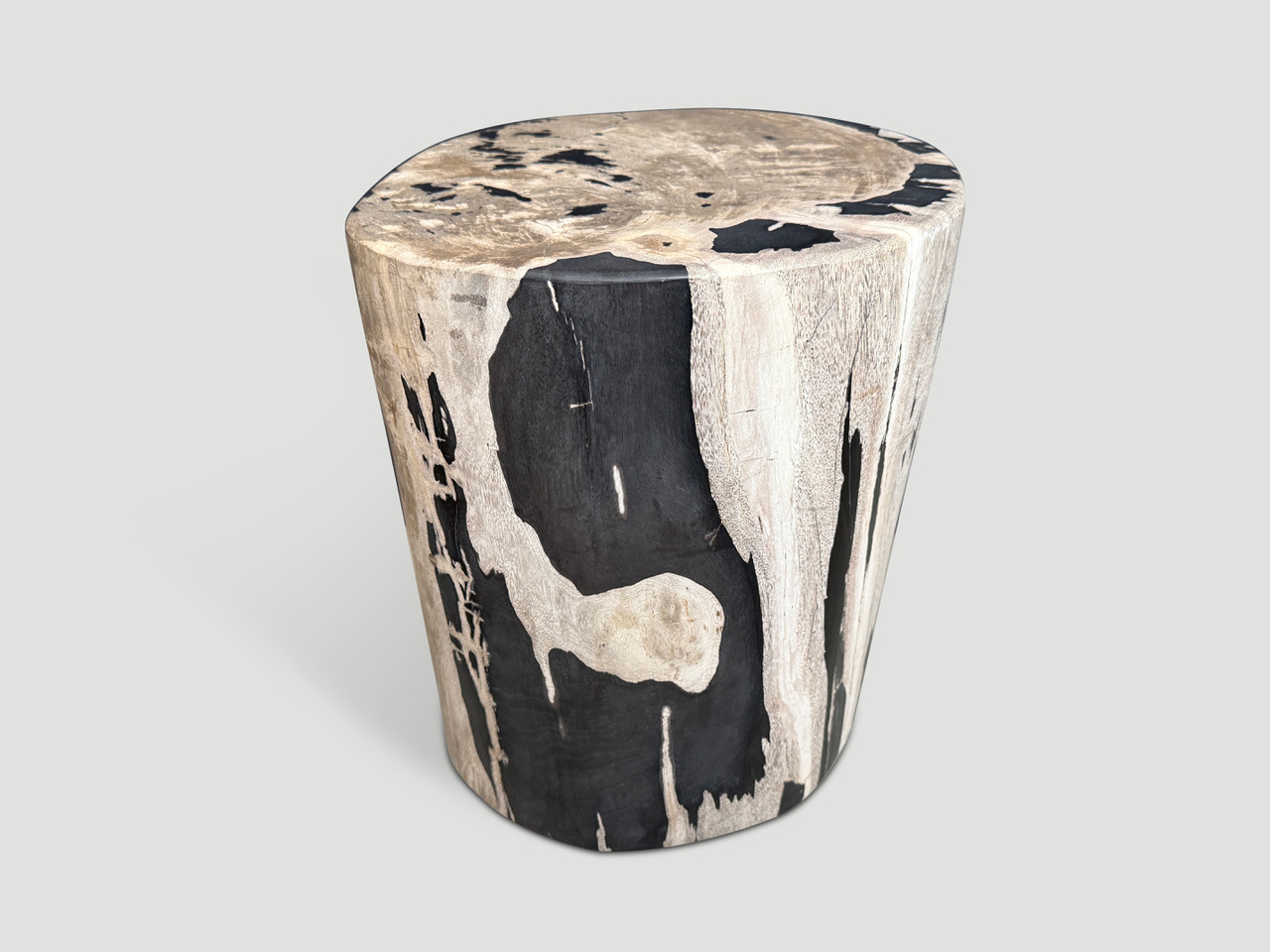 petrified wood side table