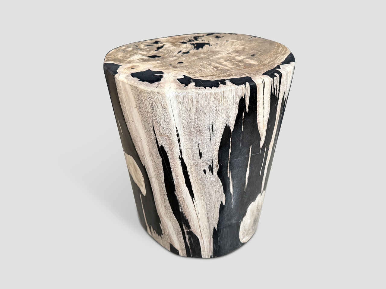 petrified wood side table