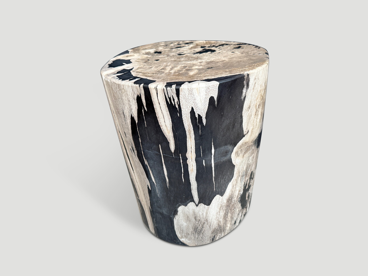 petrified wood side table