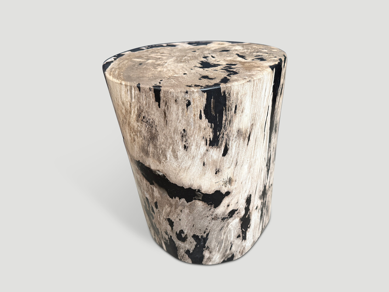 petrified wood side table