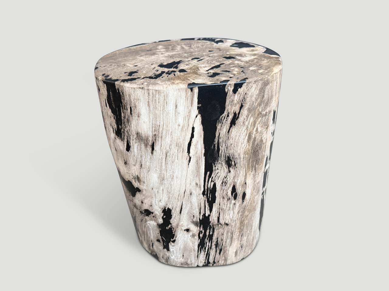 petrified wood side table