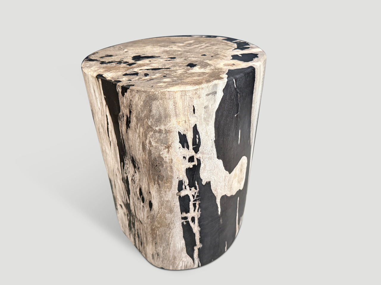 petrified wood side table