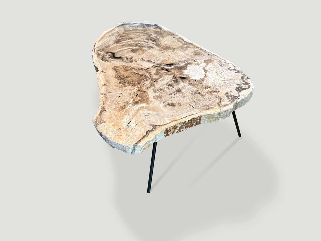 MINIMALIST PETRIFIED WOOD COFFEE TABLE OR SIDE TABLE