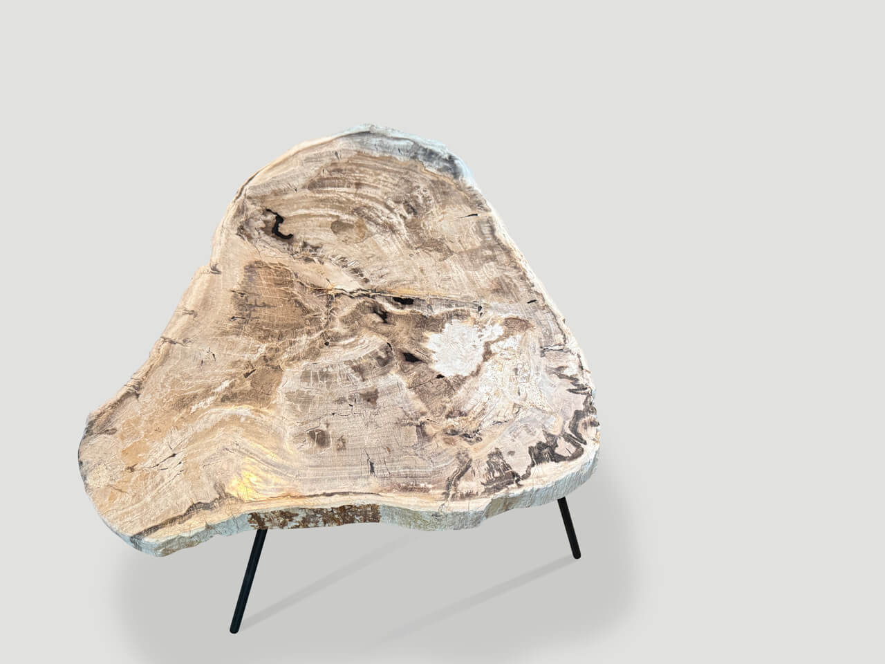 MINIMALIST PETRIFIED WOOD COFFEE TABLE OR SIDE TABLE