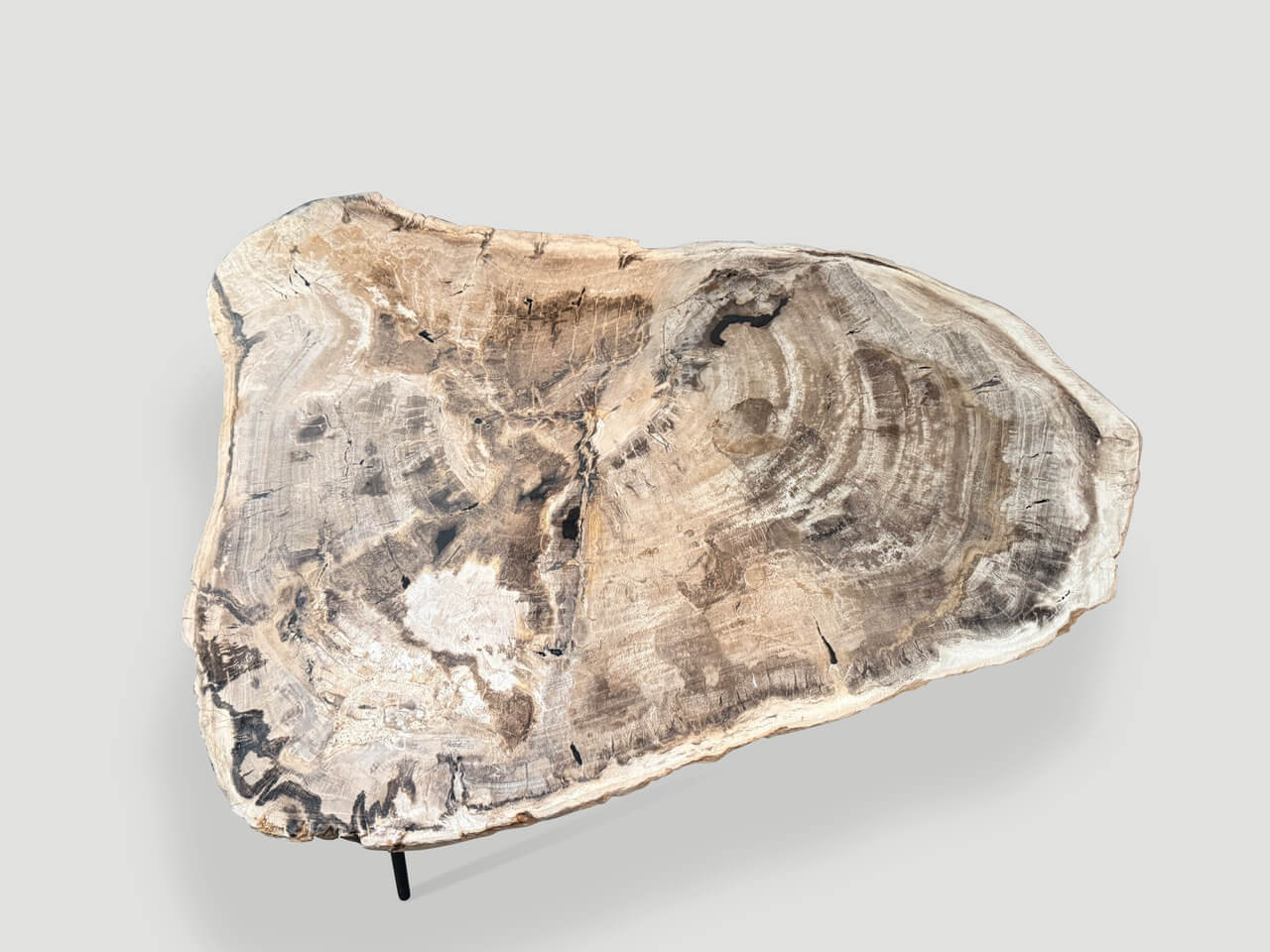 MINIMALIST PETRIFIED WOOD COFFEE TABLE OR SIDE TABLE