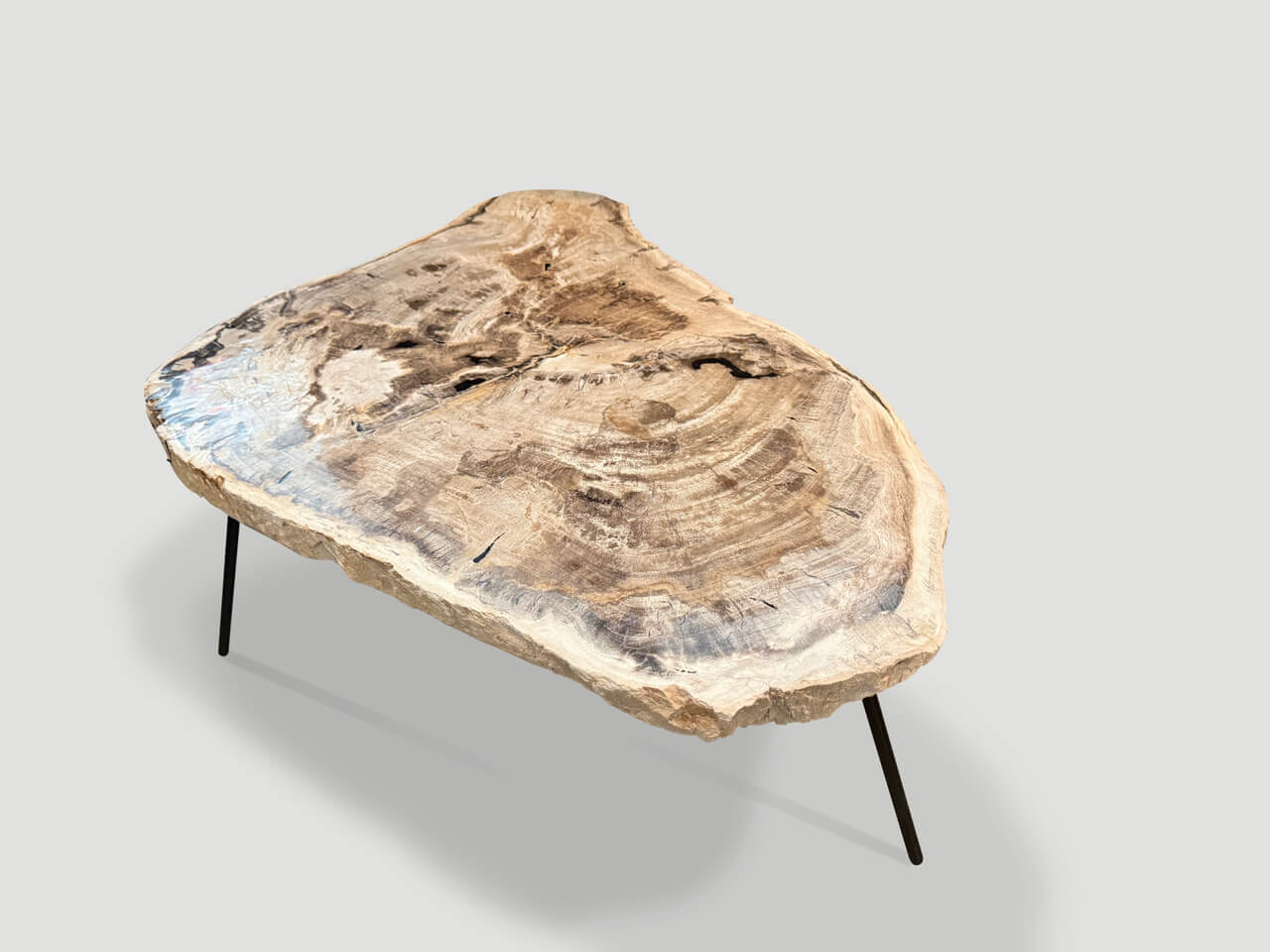 MINIMALIST PETRIFIED WOOD COFFEE TABLE OR SIDE TABLE
