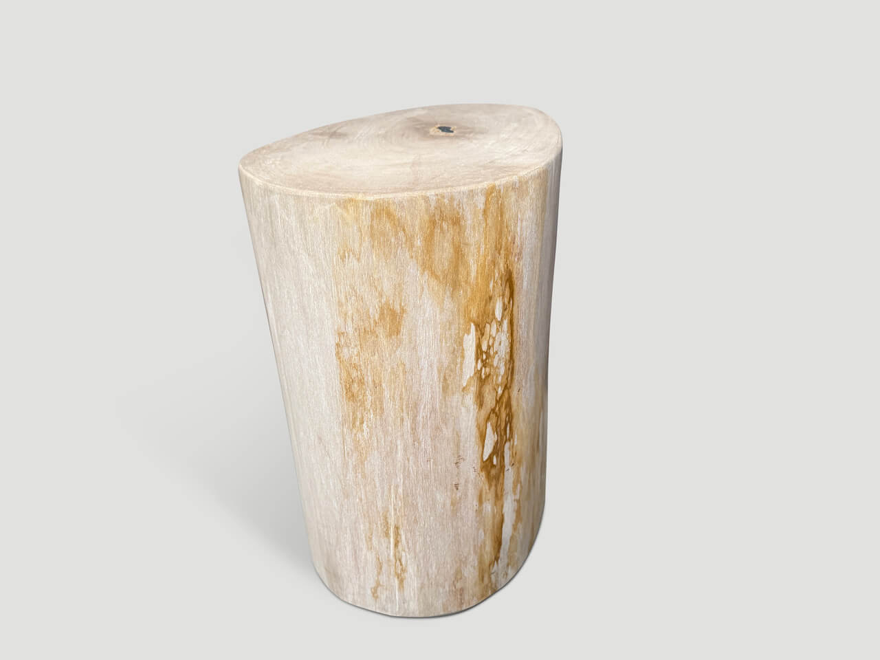 MINIMALIST HIGH QUALITY PETRIFIED WOOD SIDE TABLE