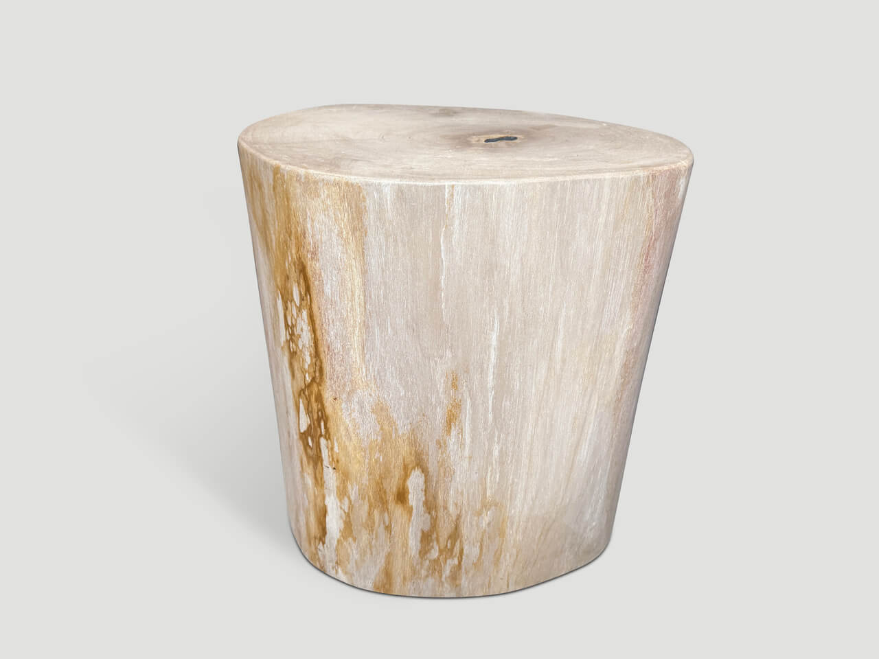 MINIMALIST HIGH QUALITY PETRIFIED WOOD SIDE TABLE
