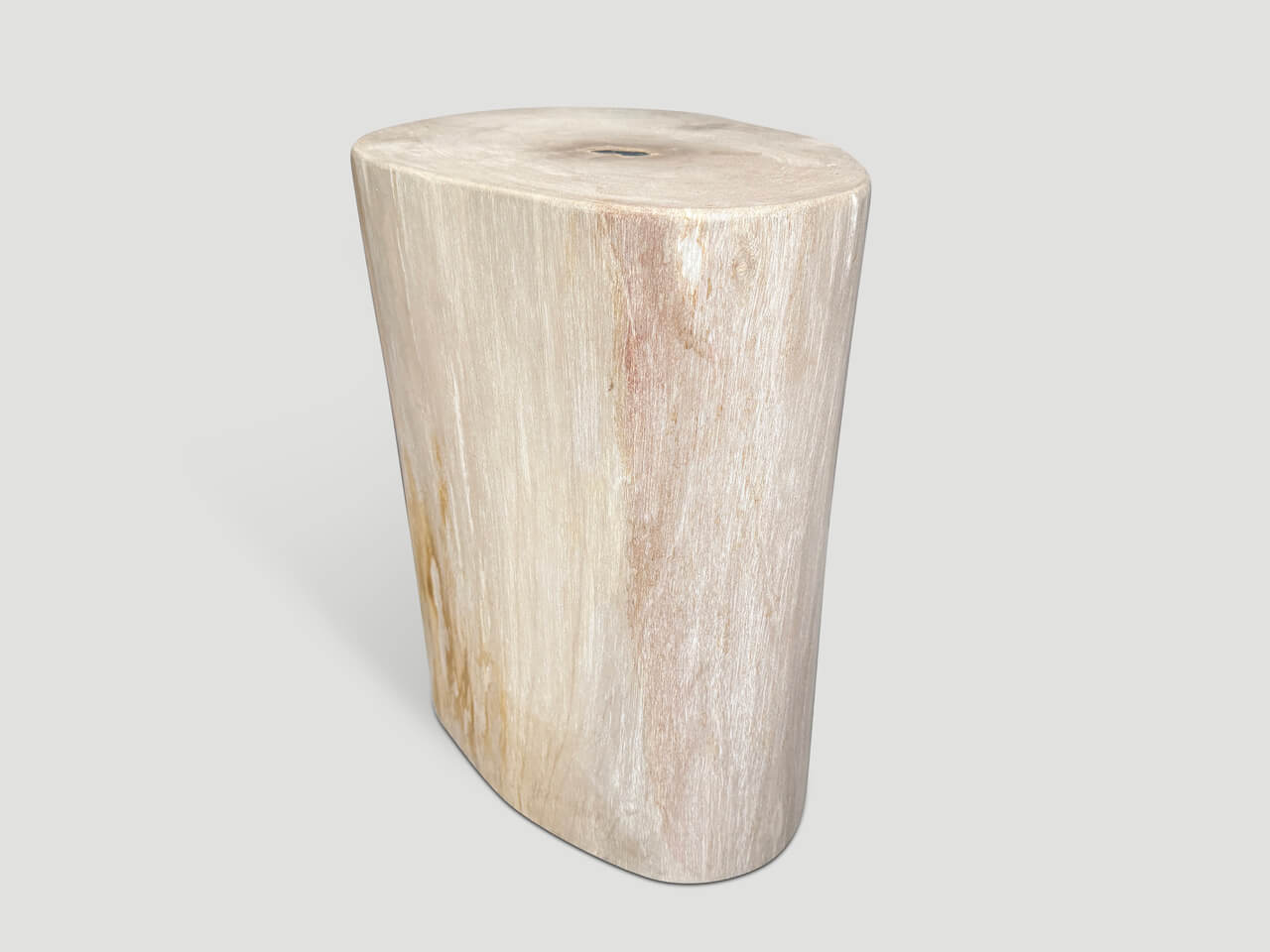 MINIMALIST HIGH QUALITY PETRIFIED WOOD SIDE TABLE