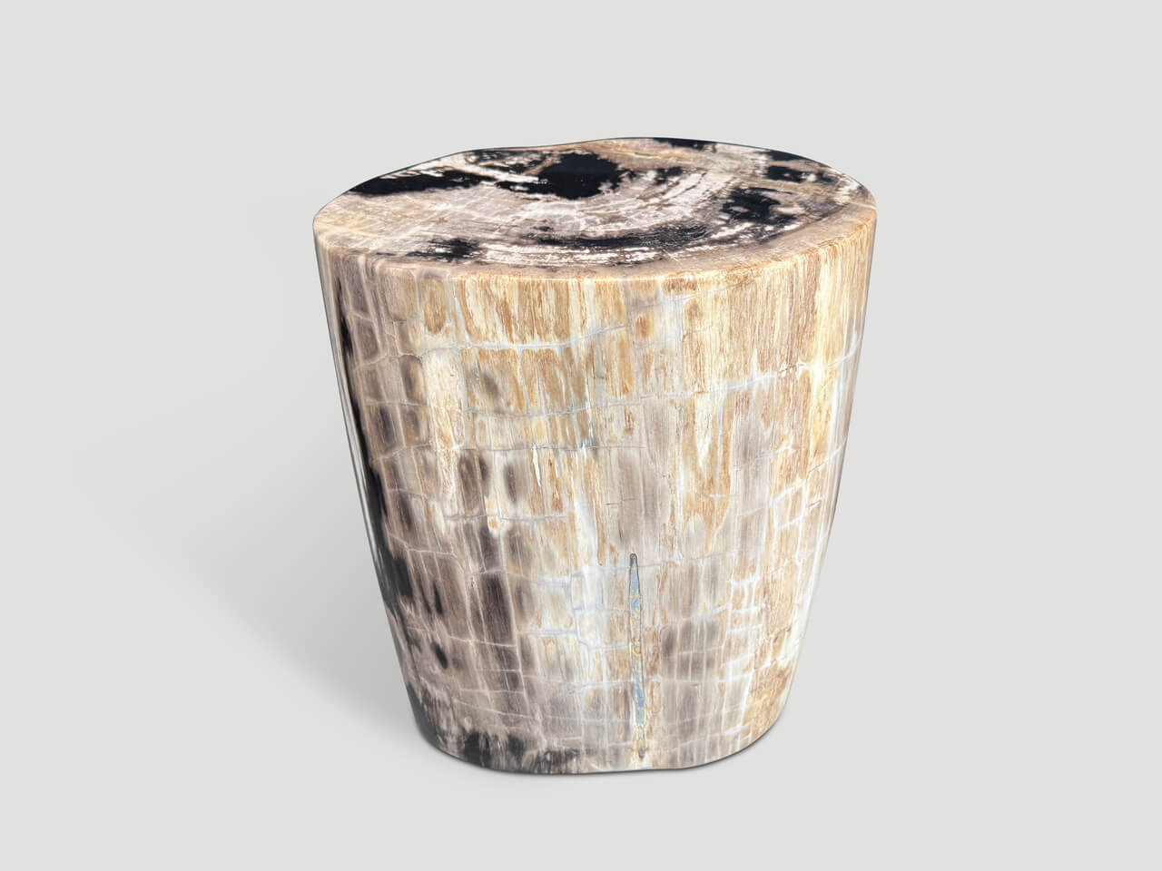 HIGH QUALITY PETRIFIED WOOD SIDE TABLE